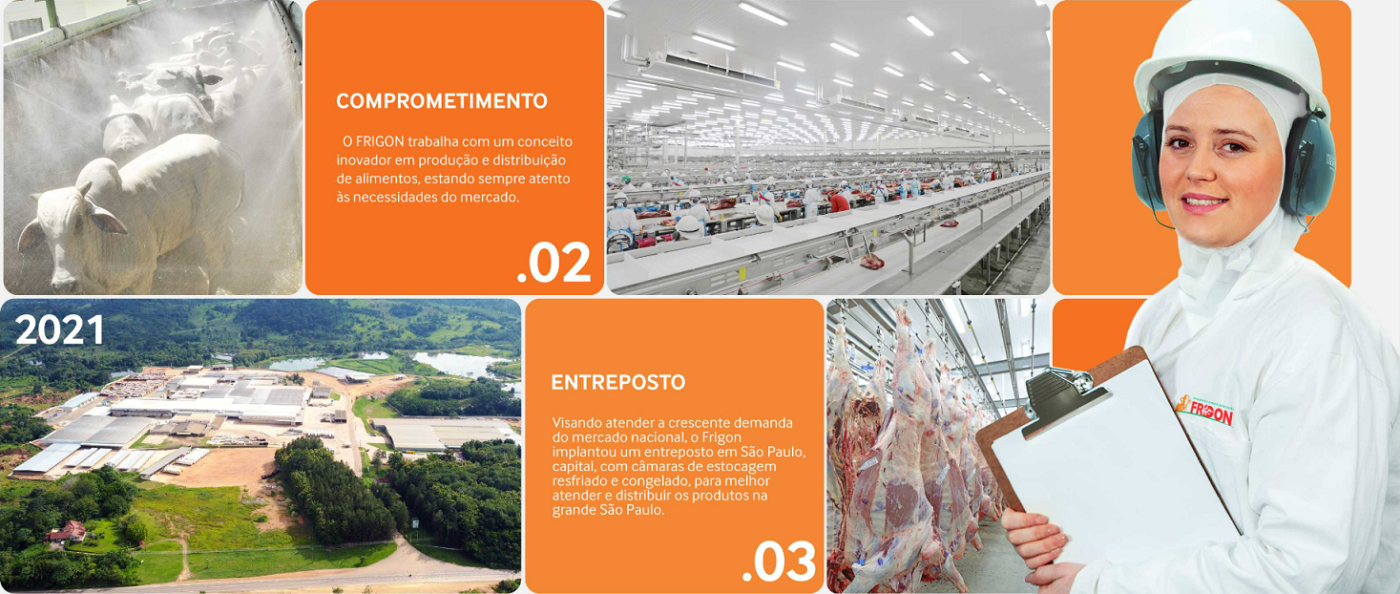 FRIGON -IRMAOS GONCALVES COMERCIO E INDUSTRIA LTDA beef